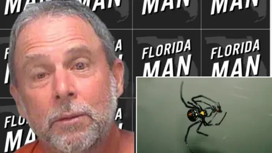 Florida Man Calls 911 to Report His Wife is a Black Widow Spider