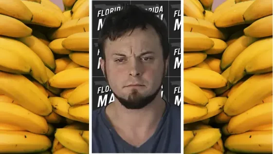 florida man phillip joseph smolinksy charged battery after allegedly throwing banana
